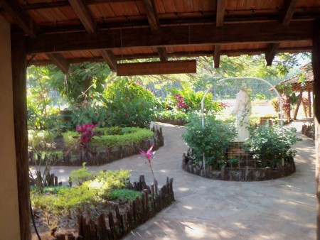 Lá na clínica, a natureza, a beleza da vida. Retomando.