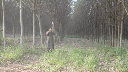 Bosques. Trabalhei rastelando esses bosques. No silêncio o trabalho e a meditação. Na foto Frei Joel. Maravilhoso.